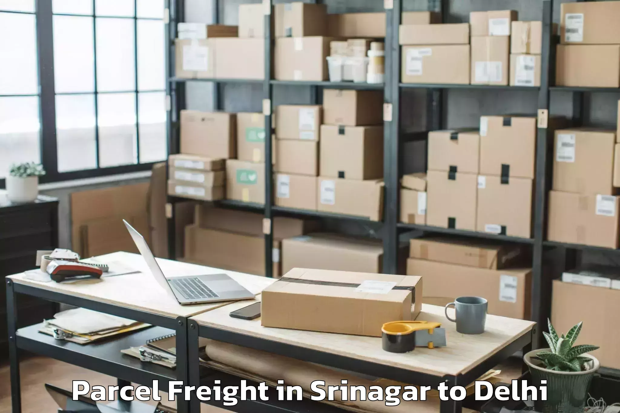 Leading Srinagar to Palam Parcel Freight Provider